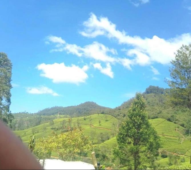 Nuwaraeliya Penthouse Apartment With Pool & Panaromic Views Nuwara Eliya Eksteriør bilde